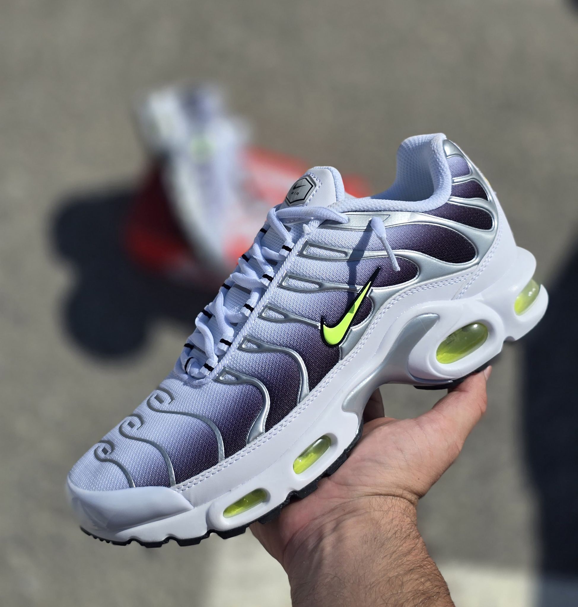 Nike TN Blanca y Gris